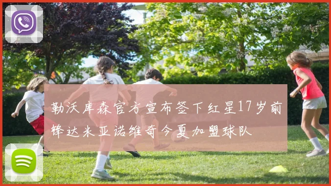 勒沃库森官方宣布签下红星17岁前锋达米亚诺维奇今夏加盟球队