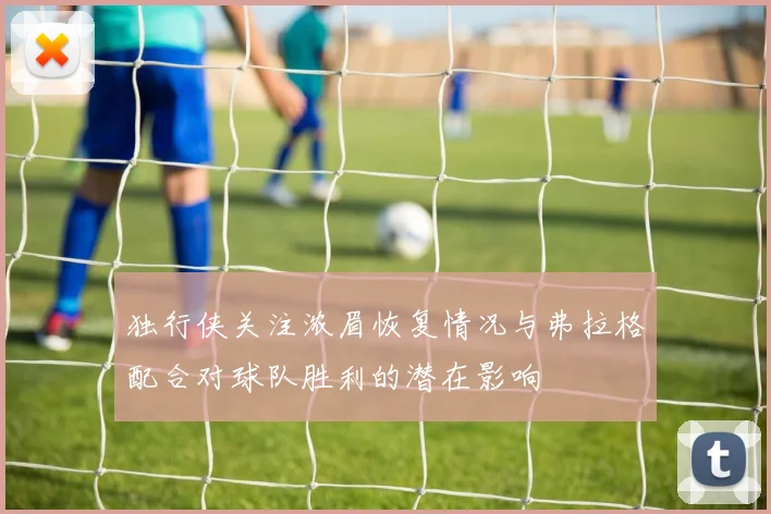 独行侠关注浓眉恢复情况与弗拉格配合对球队胜利的潜在影响