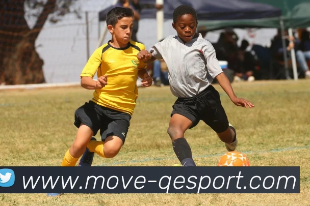 企鹅体育APP 封面图